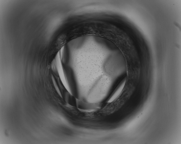 X0000098090766200804251254