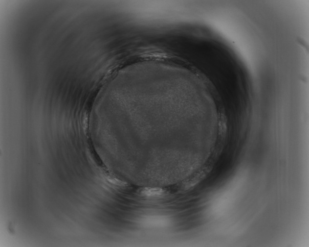 X0000098090767200804251254