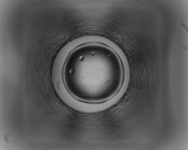 X0000098090769200804251254