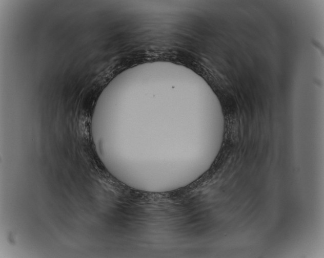 X0000098090770200804251254