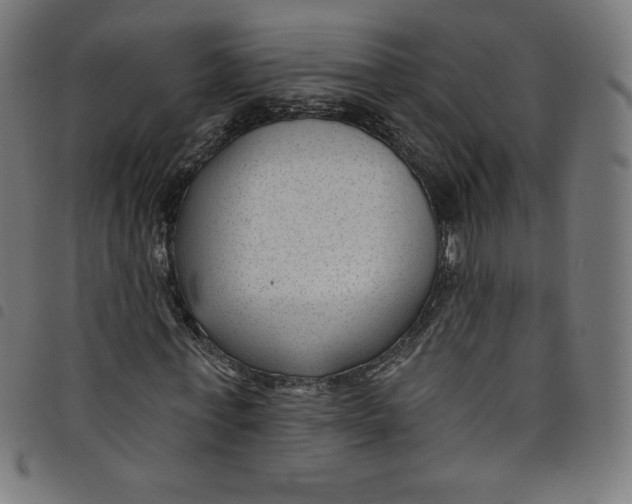 X0000098090771200804251254