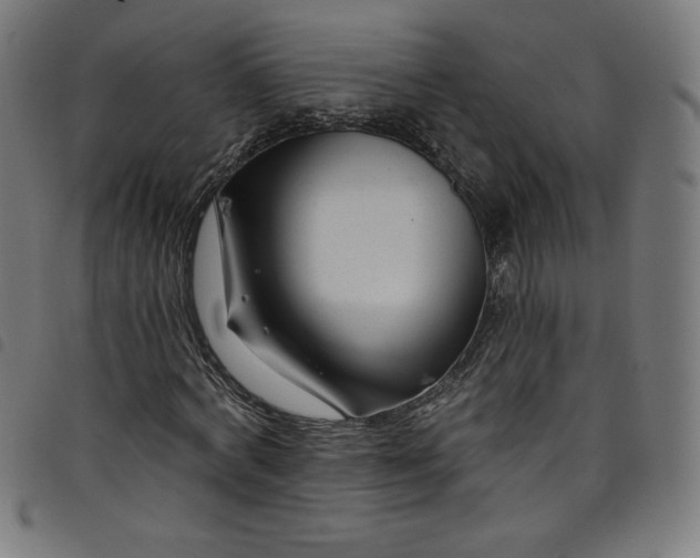 X0000098090772200804251254