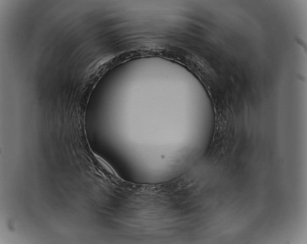 X0000098090773200804251254