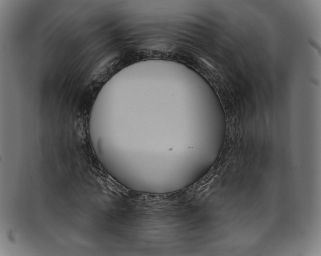 X0000098090774200804251254