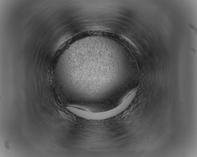 X0000098090775200804251254