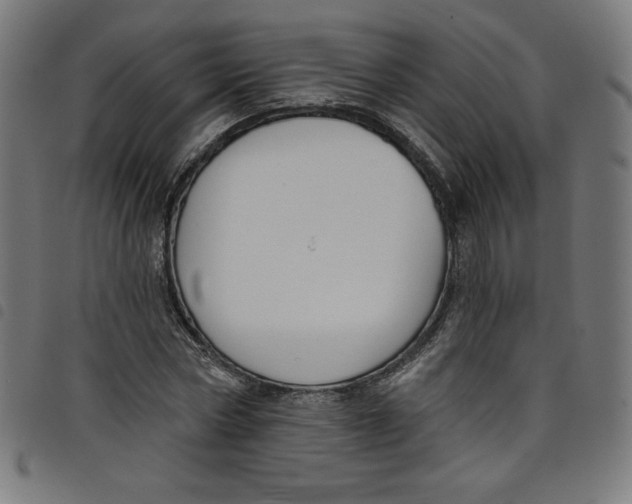 X0000098090778200804251254