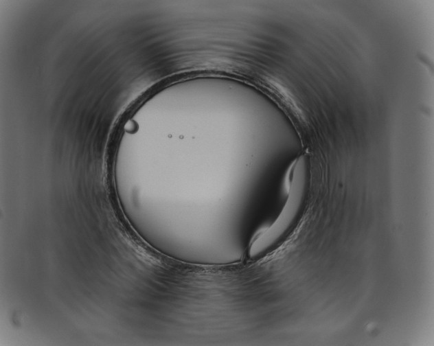 X0000098090780200804251254