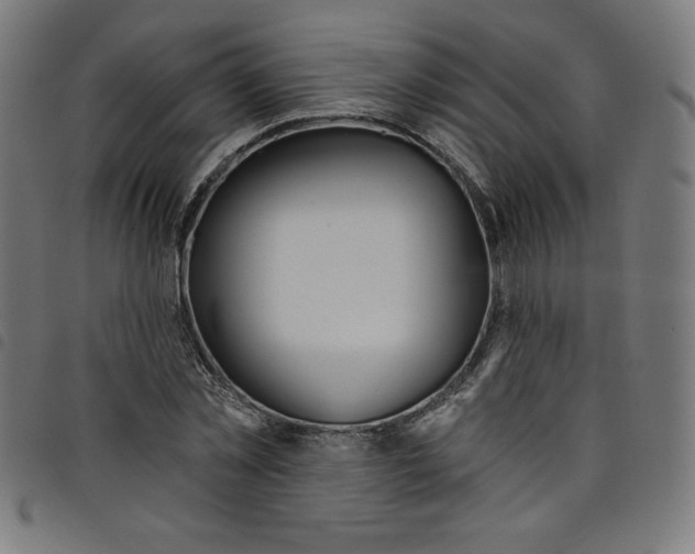 X0000098090781200804251254