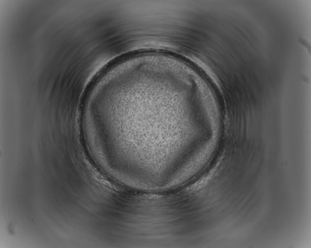 X0000098090783200804251254