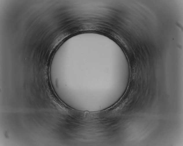 X0000098090786200804251254