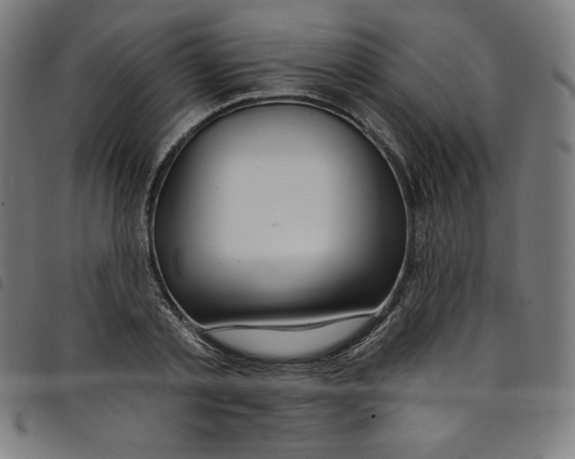 X0000098090789200804251253