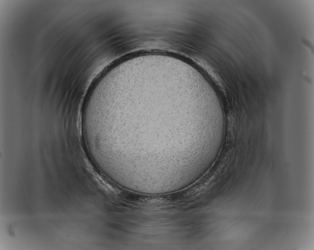 X0000098090791200804251253