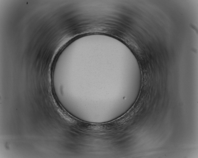 X0000098090792200804251253