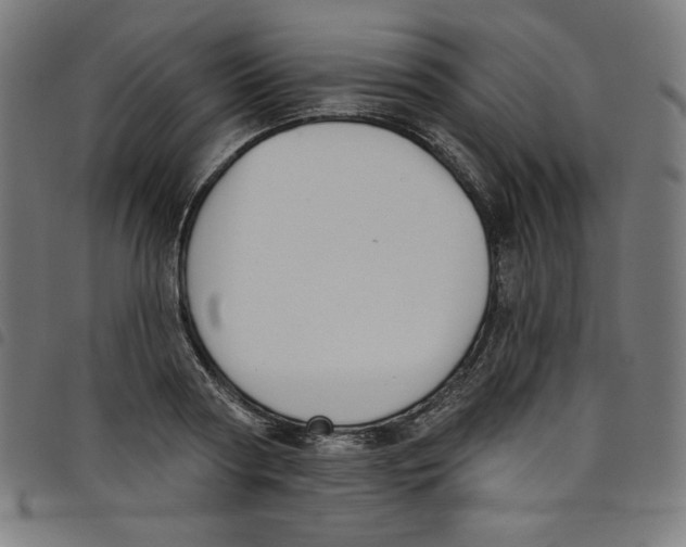 X0000098090794200804251253