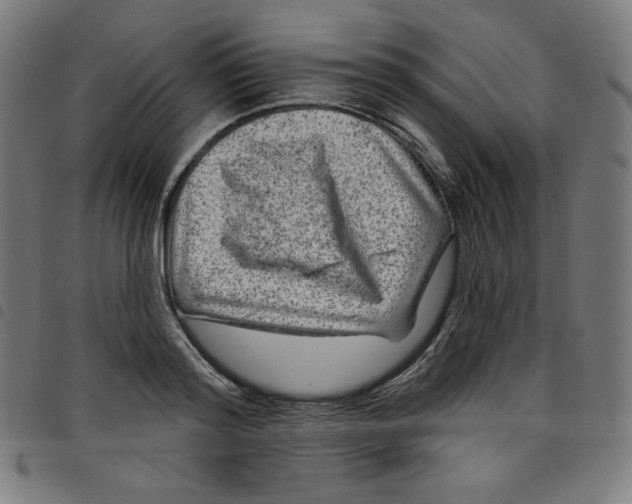 X0000098090796200804251253