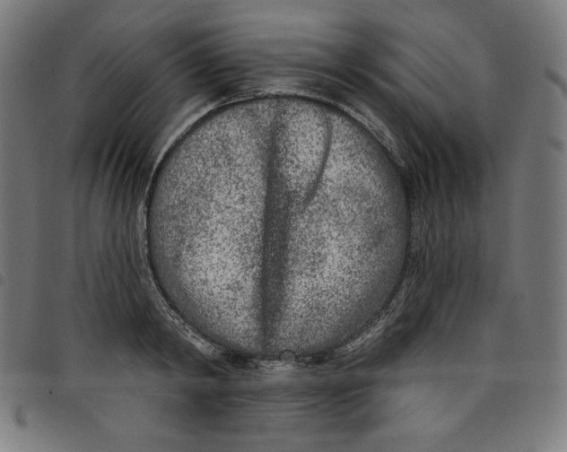 X0000098090798200804251253