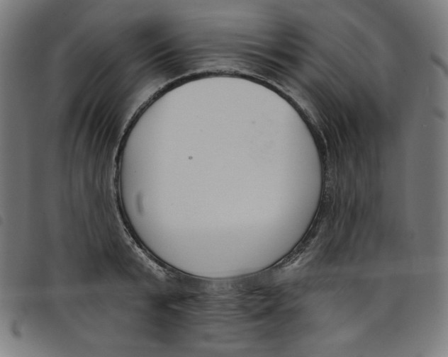 X0000098090799200804251253