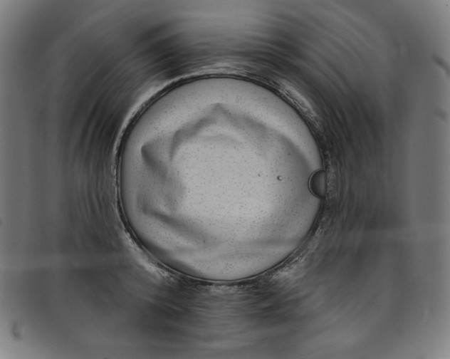 X0000098090800200804251253