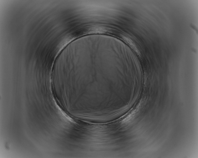 X0000098090802200804251253