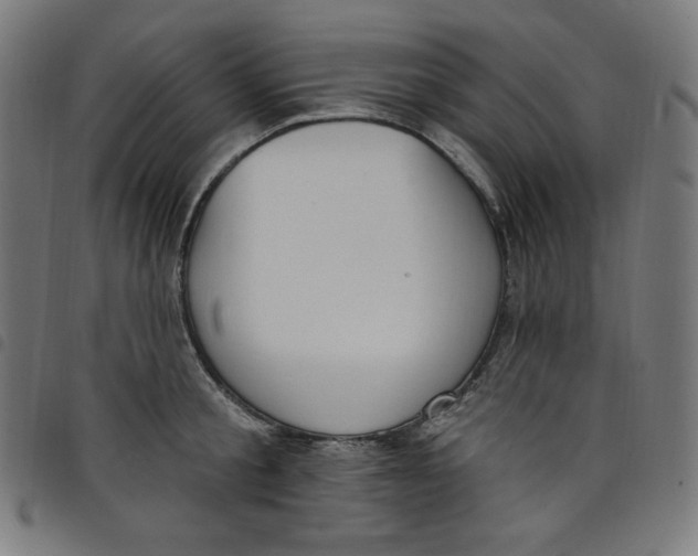 X0000098090805200804251253