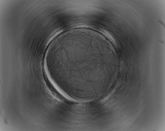 X0000098090806200804251253