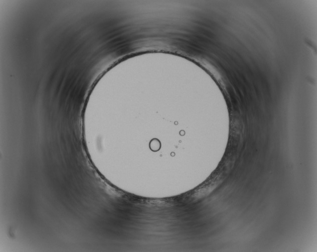 X0000098090807200804251253