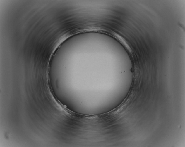 X0000098090810200804251253