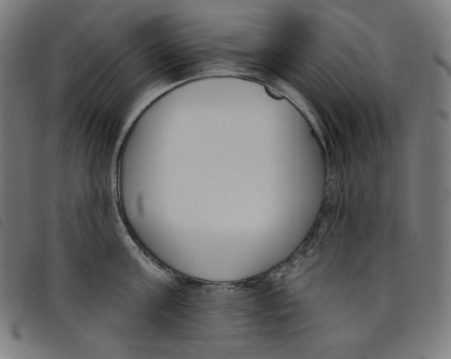 X0000098090811200804251253