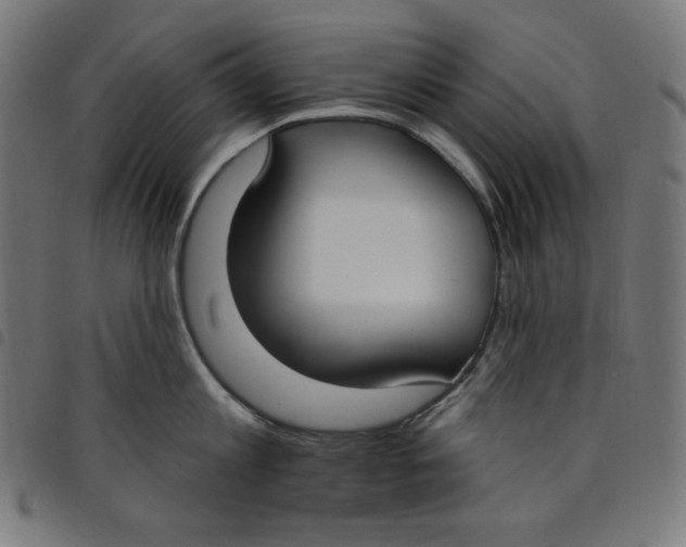 X0000098090813200804251253