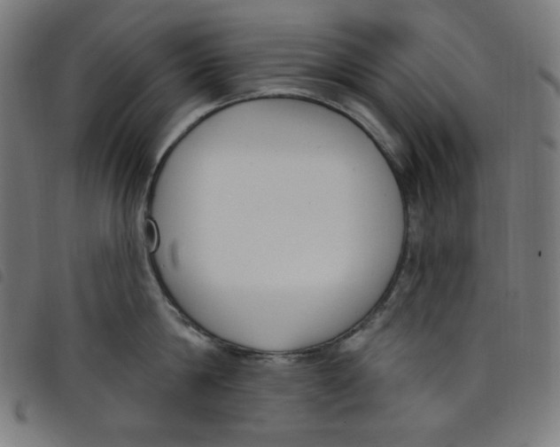 X0000098090814200804251253