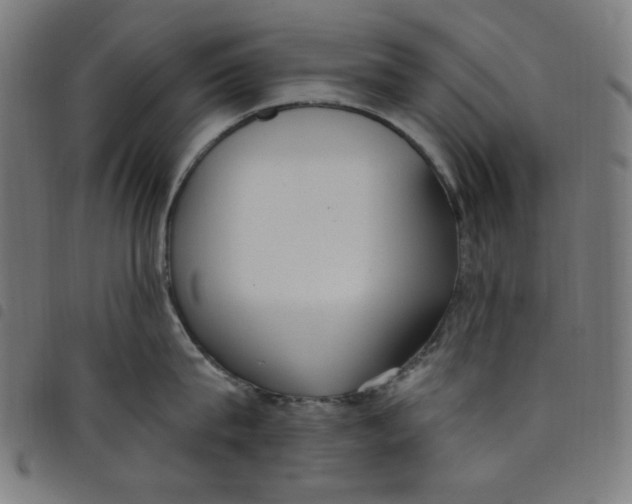 X0000098090815200804251253