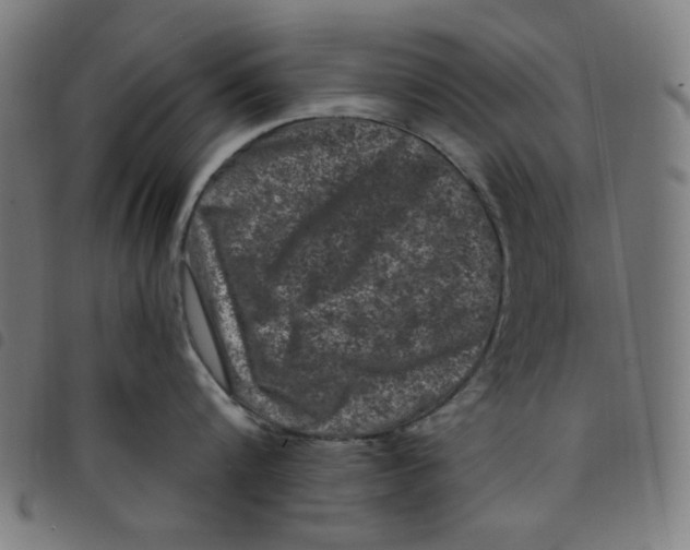 X0000098090816200804251253