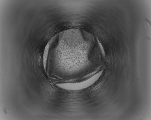 X0000098090818200804251252