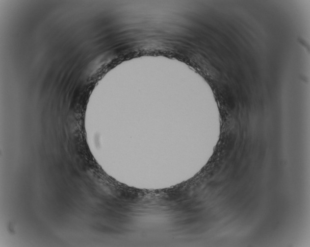 X0000098090824200804251252