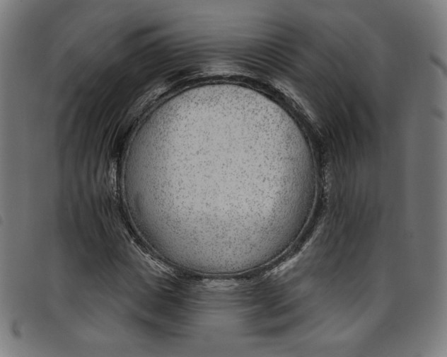 X0000098090825200804251252