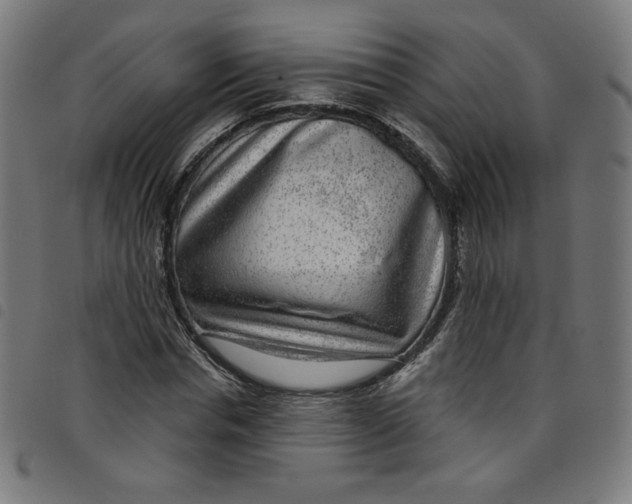 X0000098090826200804251252