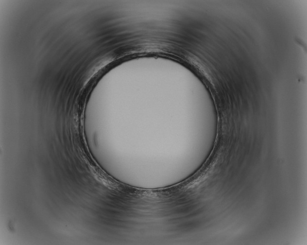 X0000098090827200804251252