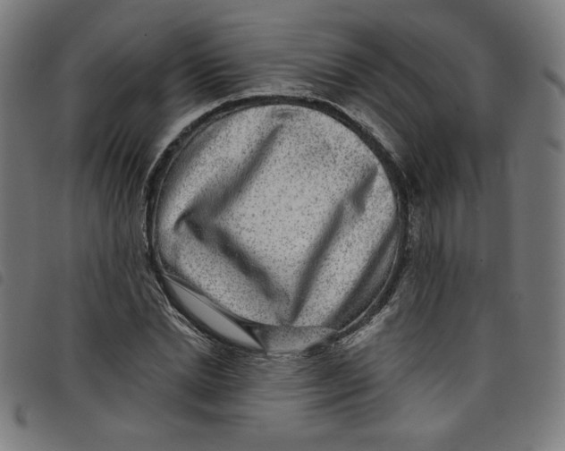 X0000098090830200804251252