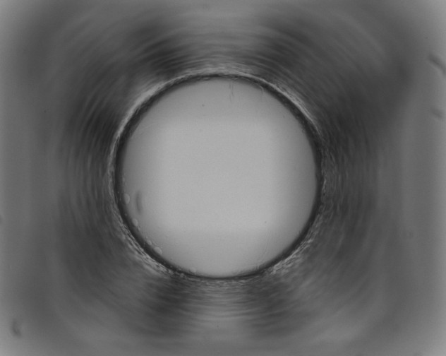 X0000098090832200804251252