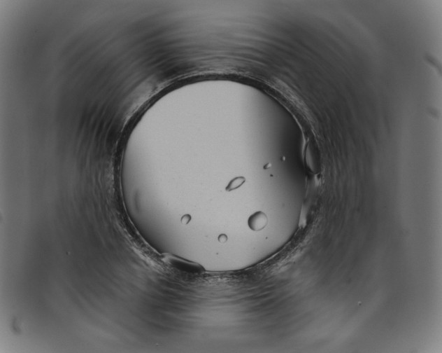 X0000098090834200804251252