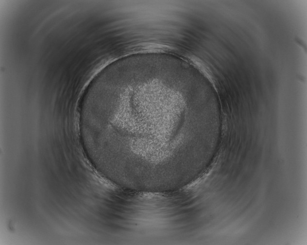 X0000098090835200804251253