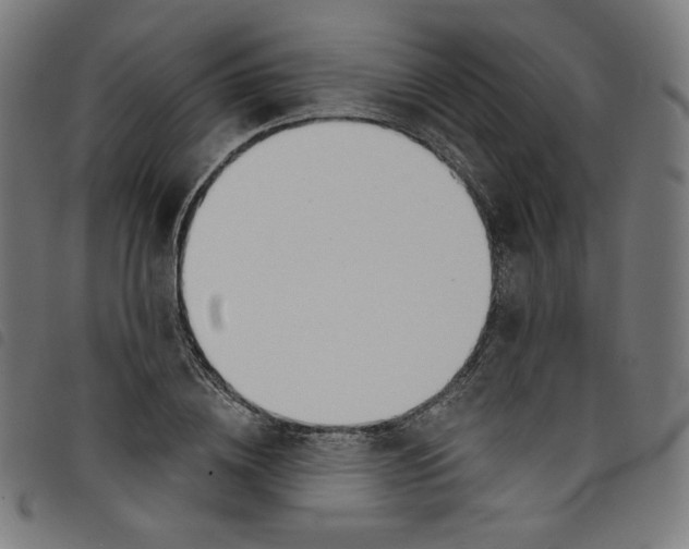 X0000098090836200804251253