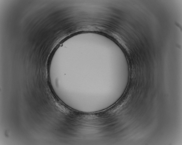 X0000098090837200804251253