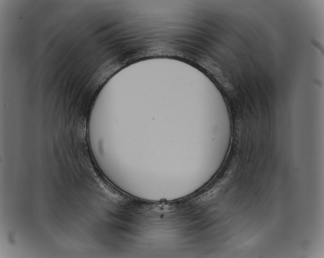 X0000098090841200804251253