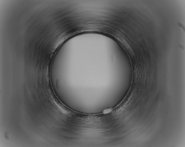 X0000098090842200804251253