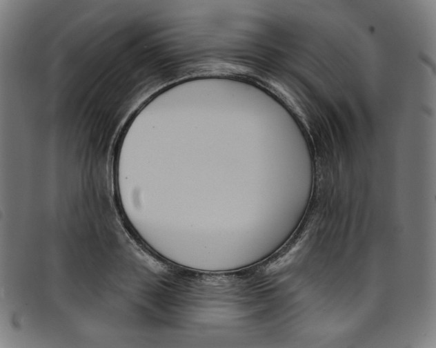 X0000098090843200804251253