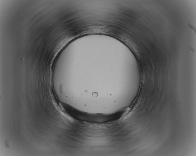 X0000098090844200804251253