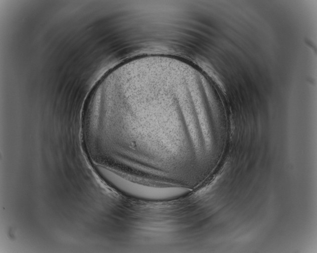 X0000098090845200804251253