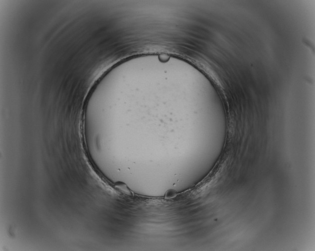 X0000098090847200804251253