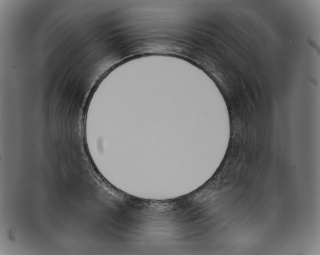 X0000098090848200804251253